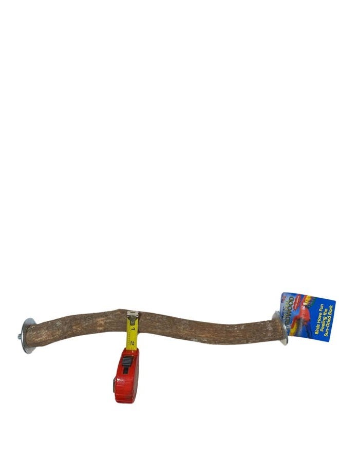 Polly's Full Length Hardwood Bird Perch, 18-Inch - Image 5