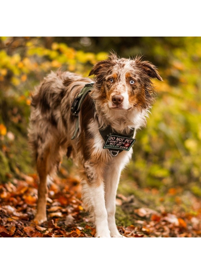 رابيتجو تسخير الكلاب rabbitgoo للكلاب الكبيرة بدون شد، سترة خدمة تكتيكية للحيوانات الأليفة مع مقبض مولي وتحكم، تسخير عسكري قابل للتعديل وعاكس لسهولة المشي والتدريب، بني مموه، كبير - Image 2