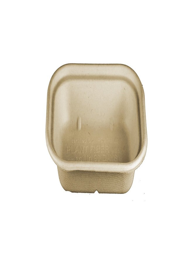 World Centric TR-SC-U8 100% Compostable Unbleached Plant Fiber 1 Compartment Trays, 17 oz., 8" x 6" x 1.5" (Pack of 400) - Image 1