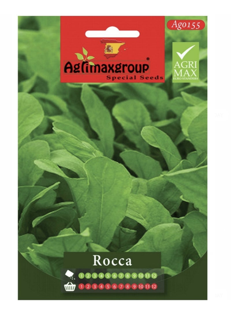 Agrimax Rocca Premium Quality Seeds by Agrimaxgroup® - Image 1