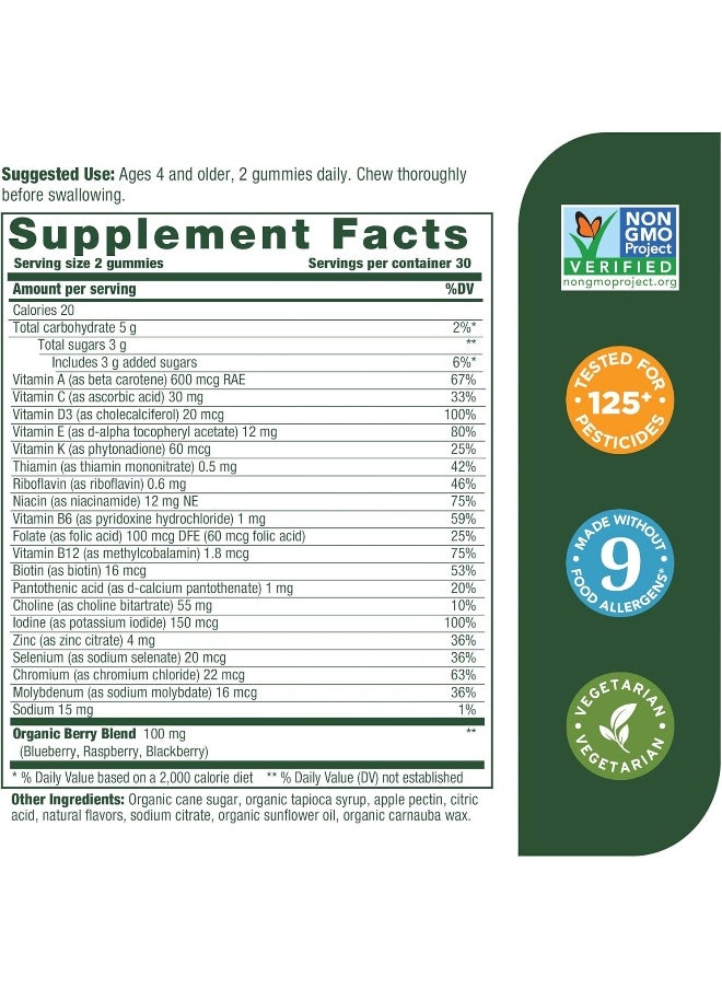MegaFood Kids Multivitamin Gummies  - Image 2
