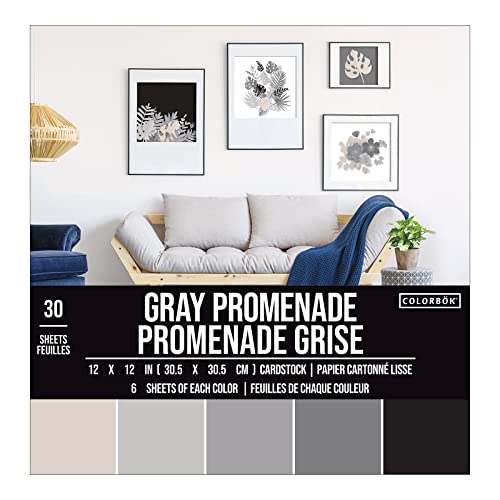 Colorbok 71880A Smooth Cardstock Paper Pad 12 x 12 Gray Promenage