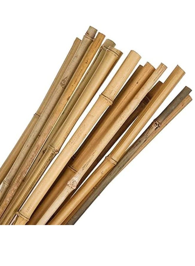 HOME TASTE Bamboo Pole 60 Cm 10 Pcs Plant Support Stake Stick Garden Stick Natural Garden Big Bamboo Long Sticks for Indoor and Outdoor Plants  - Image 1