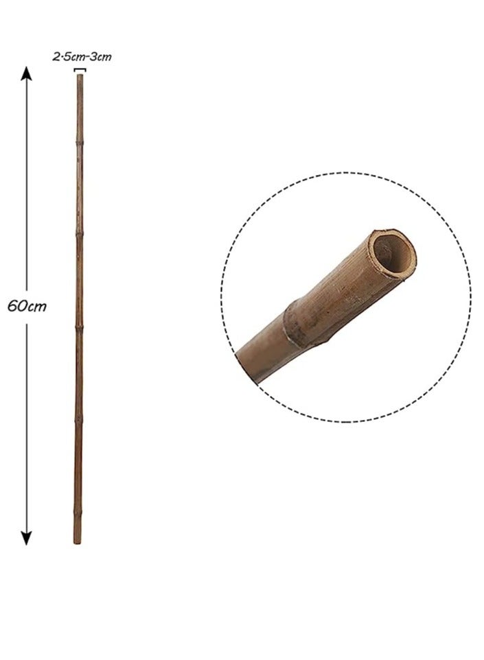 HOME TASTE Bamboo Pole 60 Cm 10 Pcs Plant Support Stake Stick Garden Stick Natural Garden Big Bamboo Long Sticks for Indoor and Outdoor Plants  - Image 2