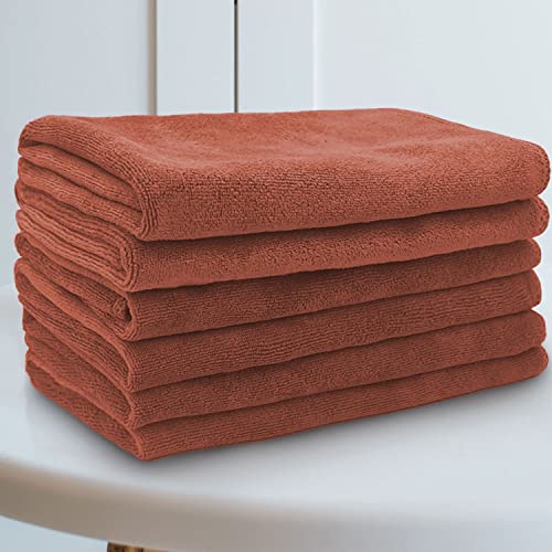 Sassoon Microfiber Cleaning Cloth in 450 GSM (6 Pcs, Rust)(40x40cm)-Highly Absorbent, Thick Lint & Streak-Free Multipurpose Cloths-Automotive Microfiber Towels for Car Bike Cleaning - Image 1