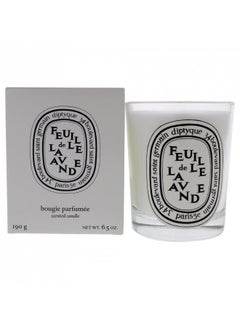 Diptyque Feuille de Lavande Candle-6.5 oz.,Lavender,I0088712 - pzsku/ZB090AB731AB7E830D4C3Z/45/_/1731078048/089361f2-72ca-45a0-beb0-826ef339b005