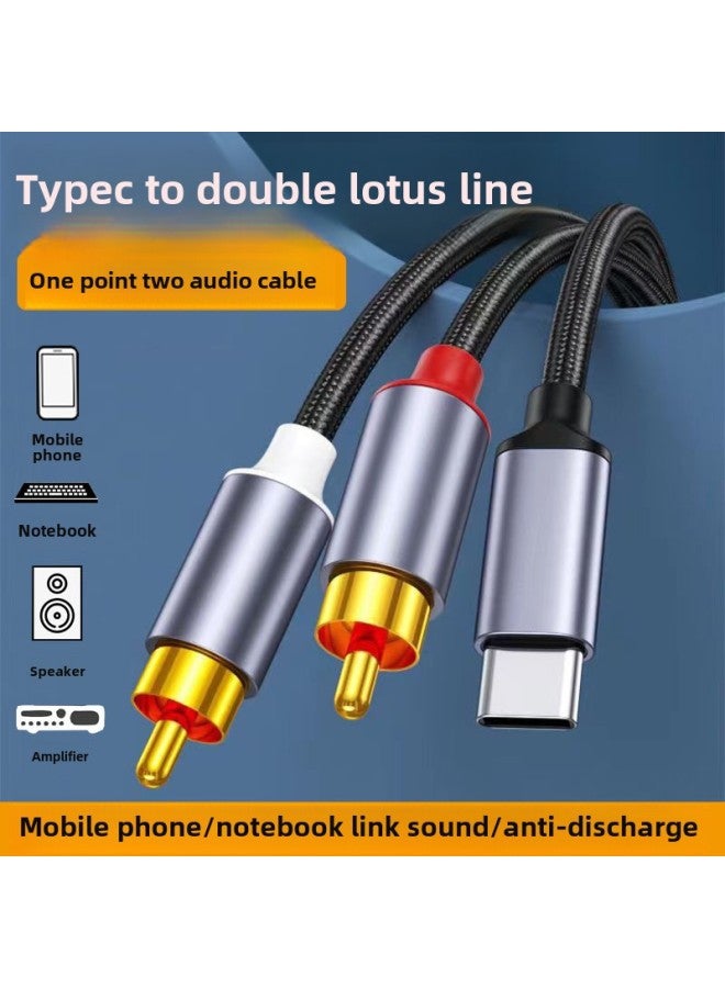 Typec To Double RCA Double Lotus Audio Line Computer Mobile Phone To RCA One-Two Digital Audio Line Wholesale-Color:Digital Chip 3 M  - Image 2