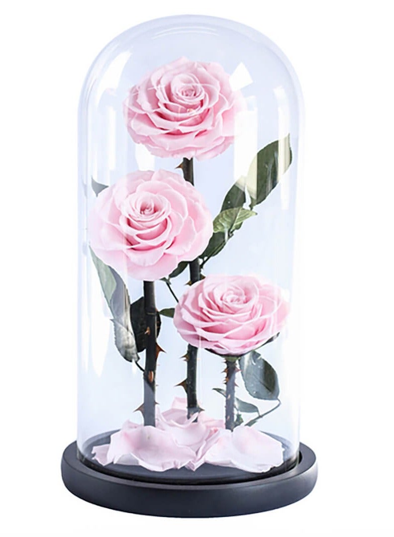 Si Bonne Preserved Forever Pink Rose in Luxury Glass Dome 17*32 - Eternal Flower Gift for Women's Day, Valentine's Day, Wedding Anniversary, and Birthday. - Image 1