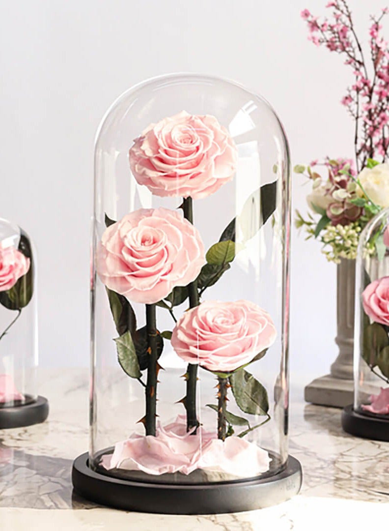Si Bonne Preserved Forever Pink Rose in Luxury Glass Dome 17*32 - Eternal Flower Gift for Women's Day, Valentine's Day, Wedding Anniversary, and Birthday. - Image 2