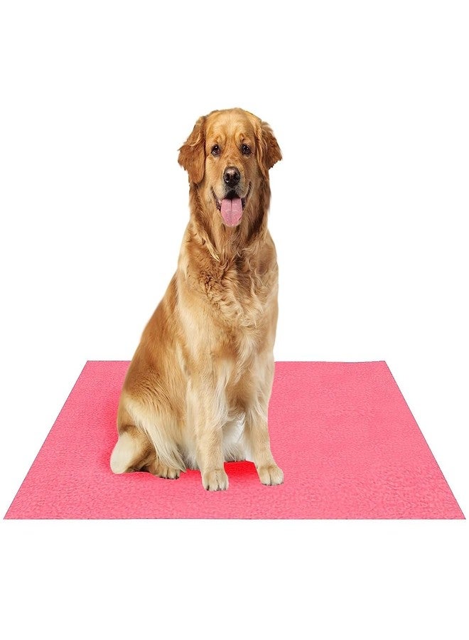 Fancy Steps Waterproof Reusable Washable Pee Pads for Dogs | High Absorption Puppy Training Pads(100cm X 140cm) Violet - Image 1