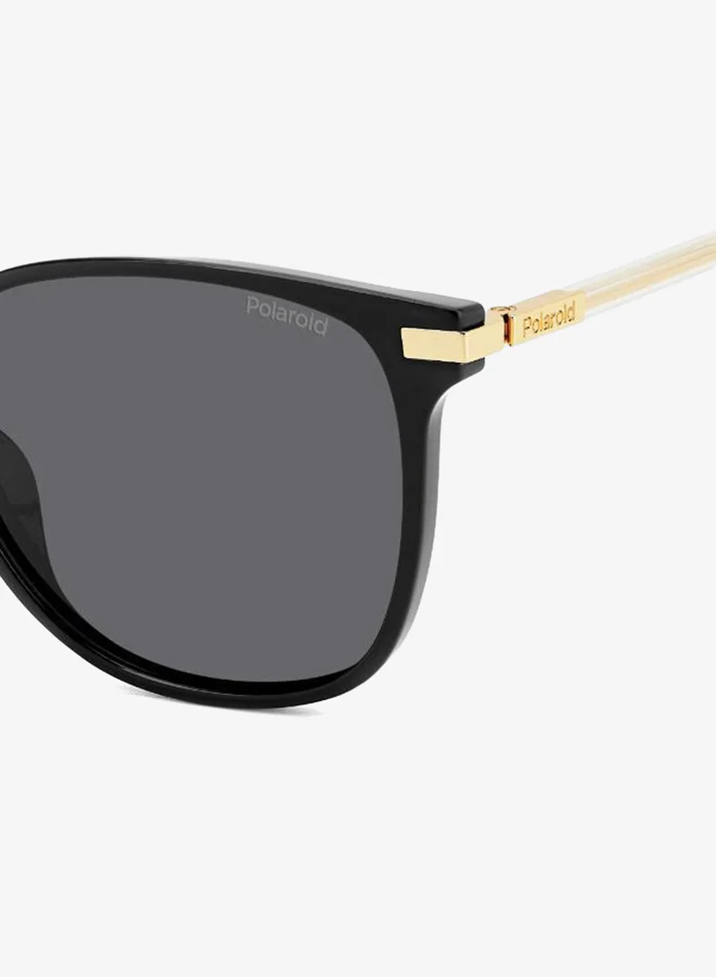Polaroid  Square Sunglasses Frames  | Best Price UAE