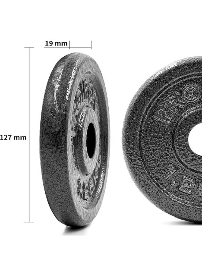 PROIRON مجموعة أوزان حديد الزهر PROIRON لبار مقبض الدمبل 1 بوصة 4 × 1.25 كجم - Image 2