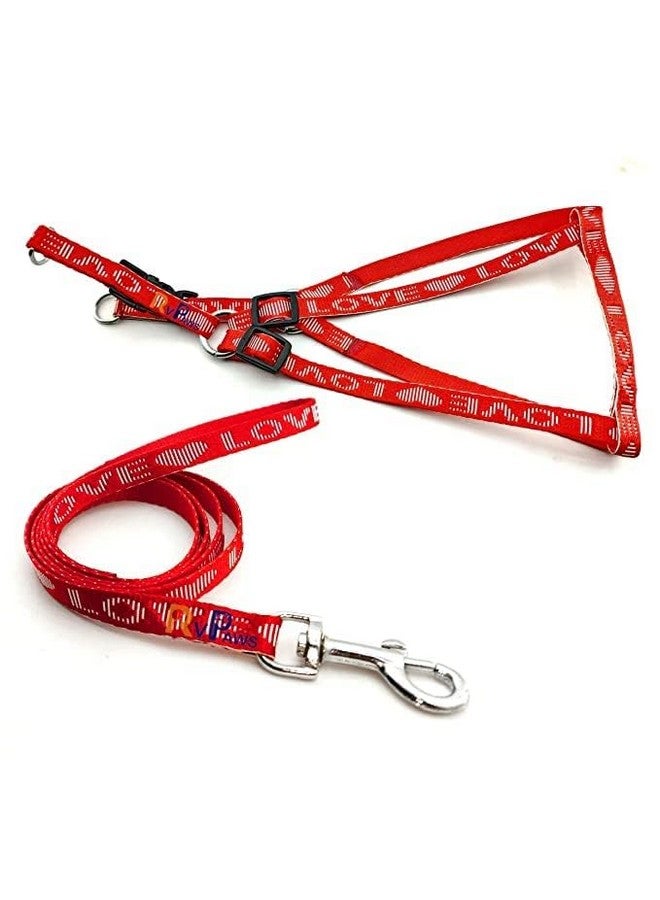 مجموعة حزام متين من النايلون مقاس 15 مم مطبوع عليه Love مقاس 0.5 بوصة وحزام مقود قابل للتعديل مثالي للمشي وتدريب الكلاب والجراء (أحمر) - Image 1