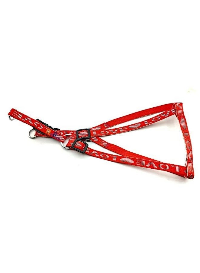 مجموعة حزام متين من النايلون مقاس 15 مم مطبوع عليه Love مقاس 0.5 بوصة وحزام مقود قابل للتعديل مثالي للمشي وتدريب الكلاب والجراء (أحمر) - Image 3