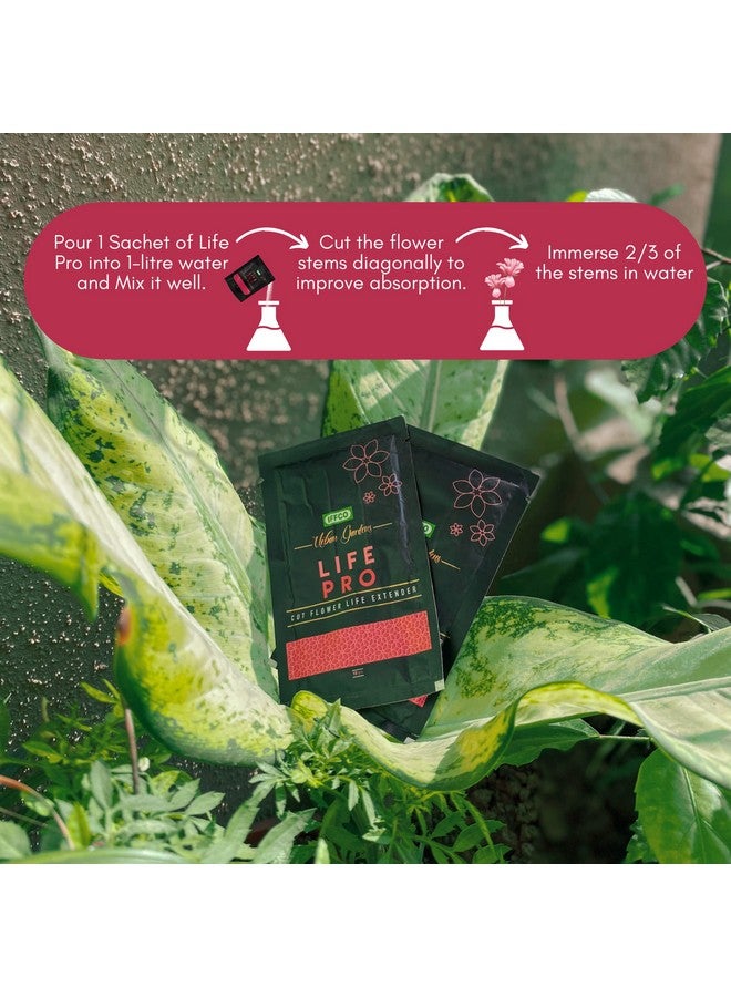 IFFCO Urban Gardens - Life Pro - Cut Flower Food and Life Extender (10gm X 10) - 100gm - Image 2