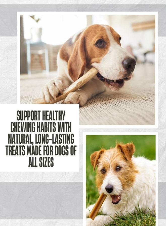 GROVE Fieldcrest Farms Nothin’ to Hide Beef Grain Free Chews for Dogs 5 in. 2 pk Bundle with Dog Treat Chew – Beef Chews for Dogs, Grain‑Free, Natural Chewing Snack – Gift Set (2 Items) - Image 3