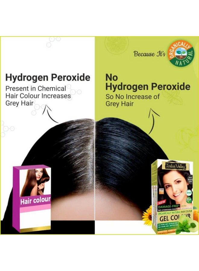 Indus Valley Organically Natural Damage Free Colour Gel Dark Brown Hair Colour 3.0 Ammonia Free With Deep Nourishing Hair Eaze Spa (20G +200Ml + 175Ml) - Image 5