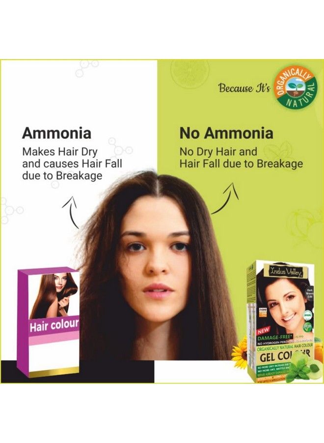 Indus Valley Organically Natural Damage Free Colour Gel Dark Brown Hair Colour 3.0 Ammonia Free With Deep Nourishing Hair Eaze Spa (20G +200Ml + 175Ml) - Image 4