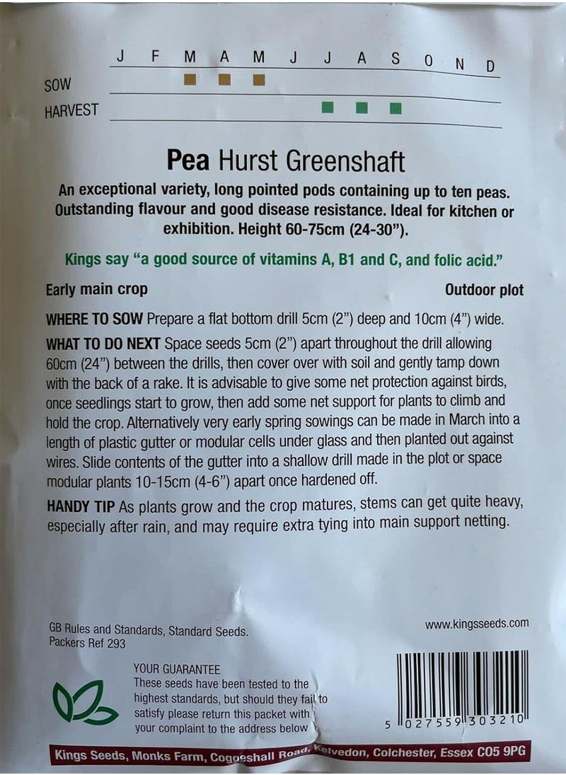 GGOOT Pea Hurst Green Shaft, Pisum Sativum, 350 Seeds by Heavy Torch  - Image 3