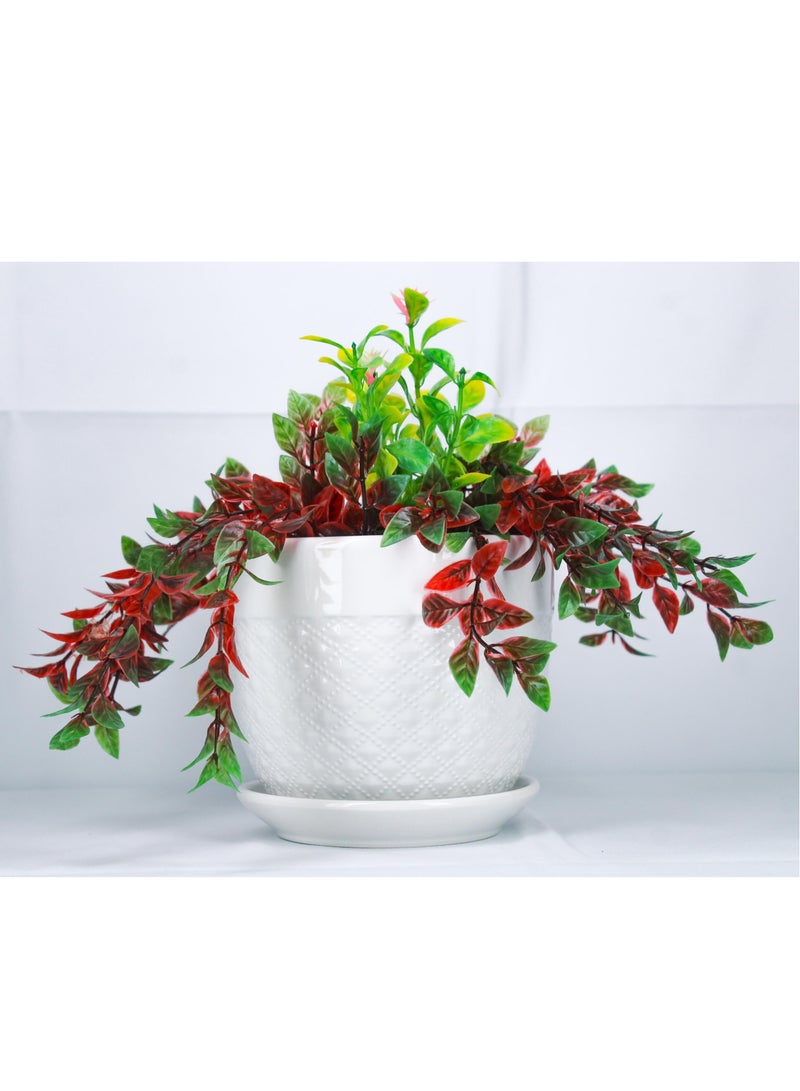 ڤسيل24 وعاء زهور سيراميك أبيض منقوش مع فتحة تصريف وأواني زراعة عصارية - Image 1