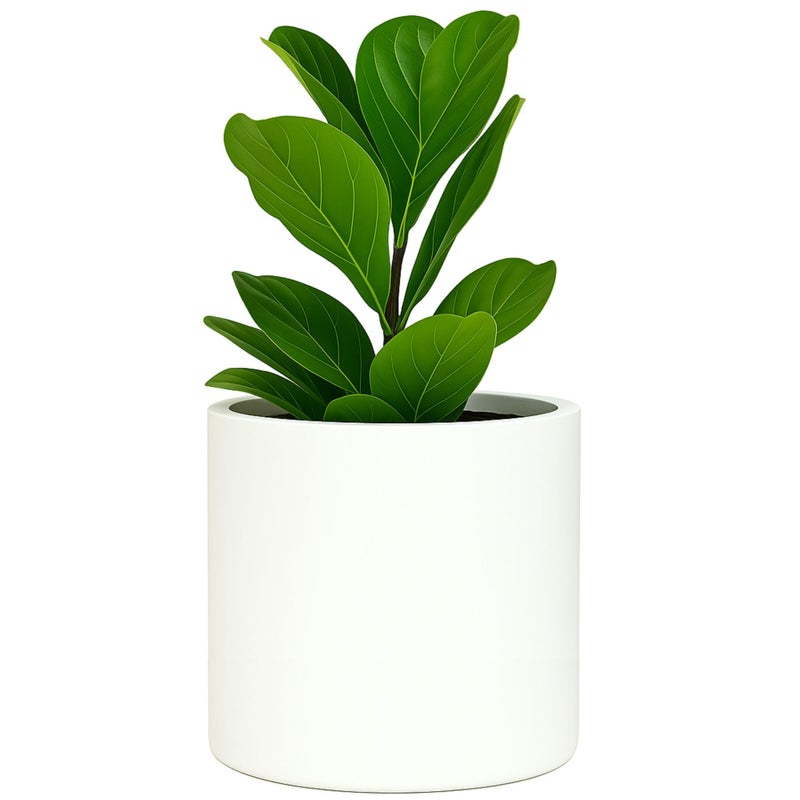 Fox Fern Large 12 Inch Plant Pot with Hidden Saucer Premium Lightweight Fiberstone Matte White Self Watering Planter with Seamless Saucer Indoor Outdoor Use Weather Resistant UV Resistant