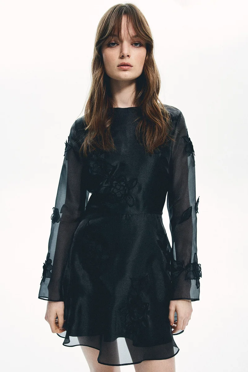 H&M Appliquéd organza dress