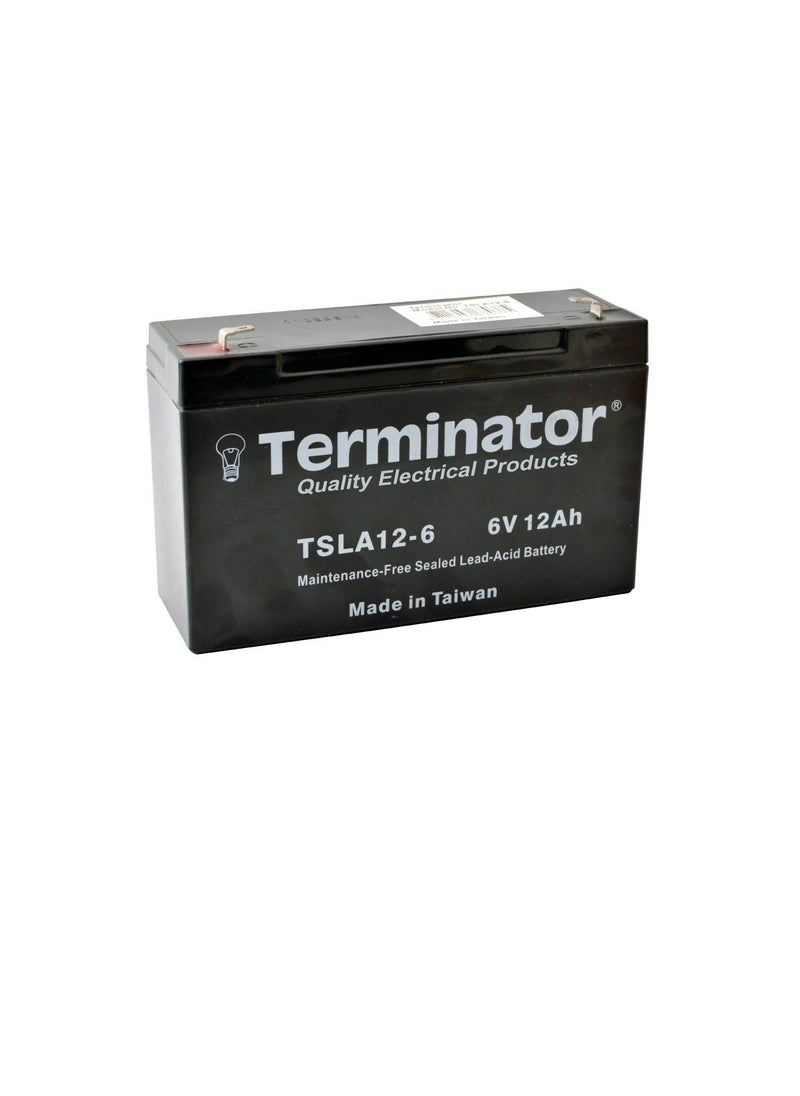 Terminator Terminator Sealed Lead Acid Battery 6V-12Ah TSLA 12-6S  - Image 1