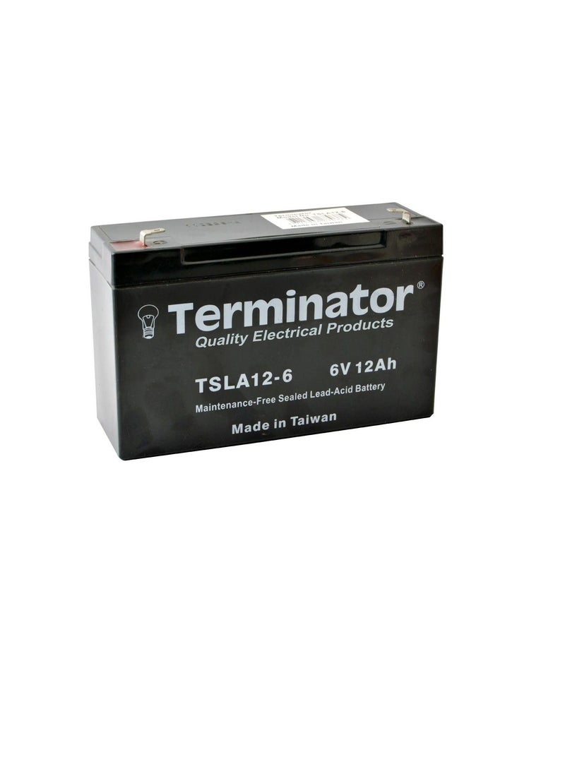 Terminator Terminator Sealed Lead Acid Battery 6V-12Ah TSLA 12-6S  - Image 2