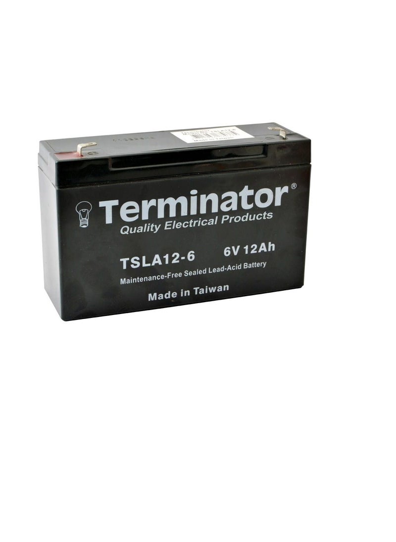 Terminator Terminator Sealed Lead Acid Battery 6V-12Ah TSLA 12-6S  - Image 3
