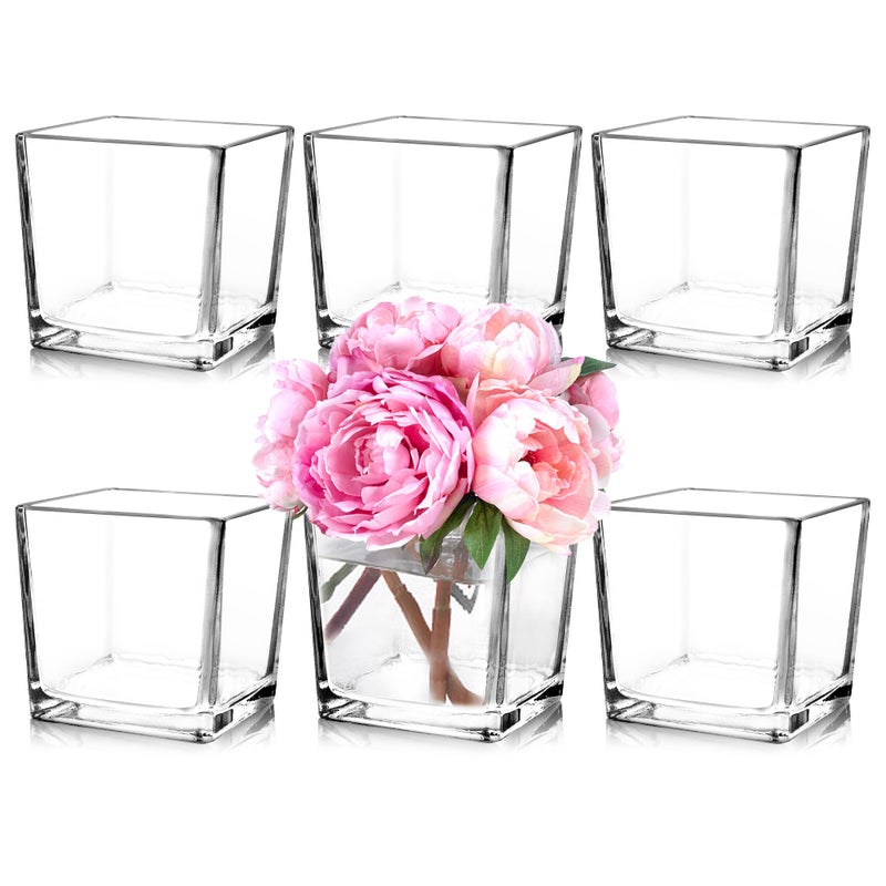 Comrzor Set of 6 Square Glass Vases 5 x5 x 5 Clear Flower Vases for Centerpieces Candle Holder for Wedding Party Events Home Dcor