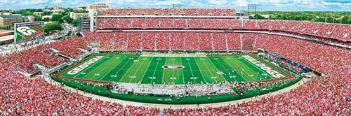 MasterPieces NCAA Georgia Bulldogs, Stadium Panoramic Jigsaw Puzzle, Sanford, 1000 Pieces - Image 2