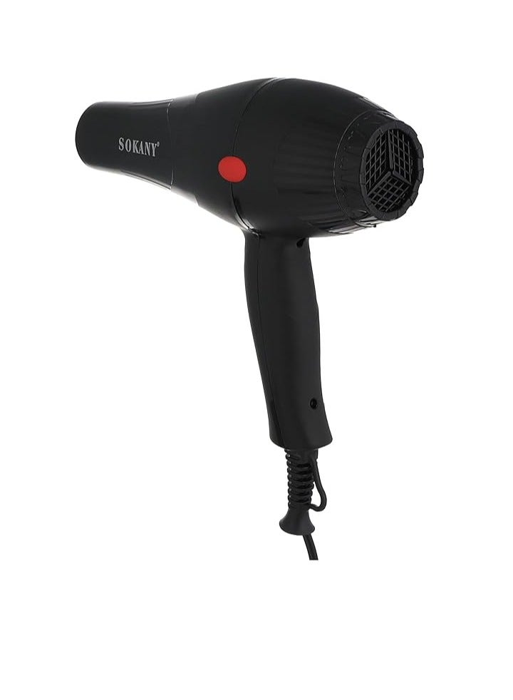 HS-3210 Professional Hair Dryer -2600W