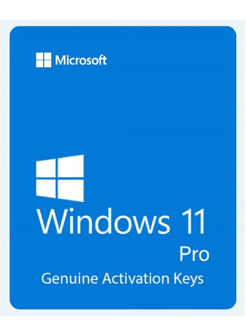 Windows 11 Professional lifetime Key