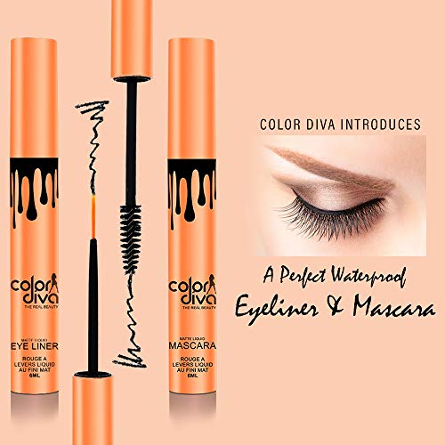 COLOR DIVA Waterproof & Long Lasting Eyeliner & Mascara, Black, 6ml, (EM102) - Image 2