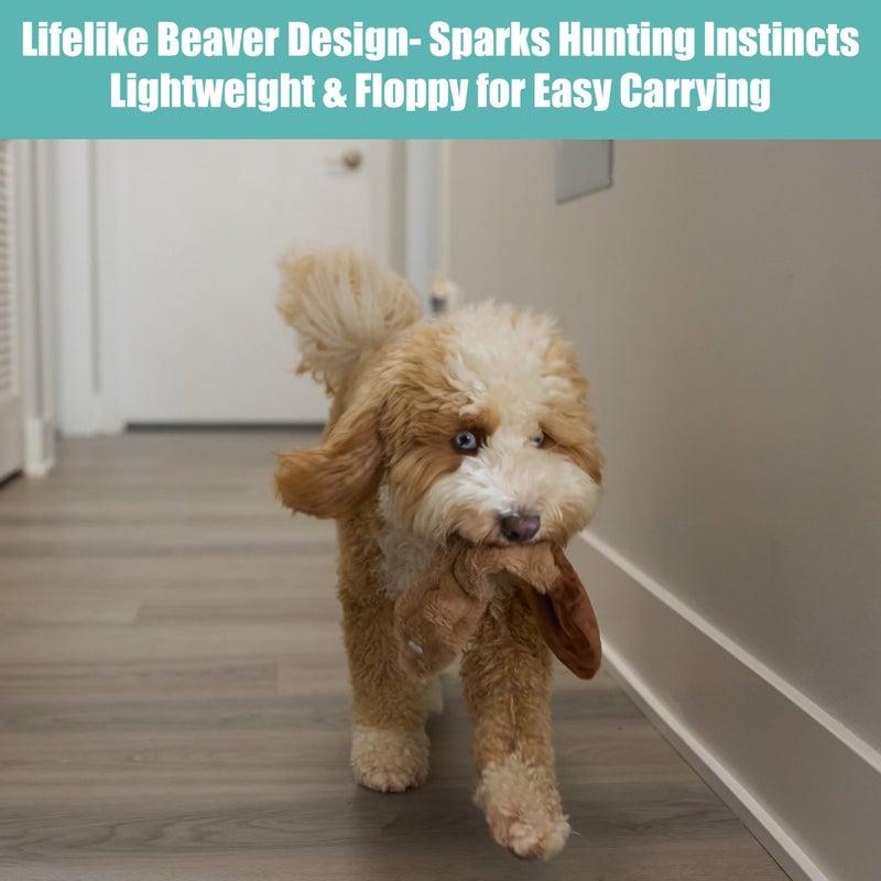 SPOT Skinneeez Beaver Dog Toy â€“ 14" Stuffing-Free Plush Squeaky Dog Toy, Durable Interactive Toy for Small & Medium Dogs, Light to Moderate Chewers, Mess-Free Play - Image 4