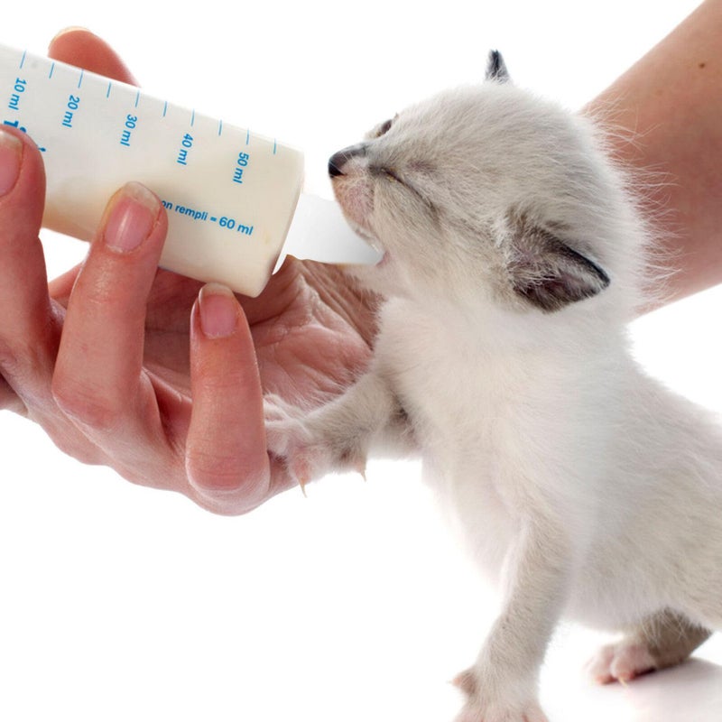 10 قطعة من الحلمات للرضاعة للقطط، حلمات مصاصة للجراء والقطط حديثي الولادة، تصميم عملي - Image 5