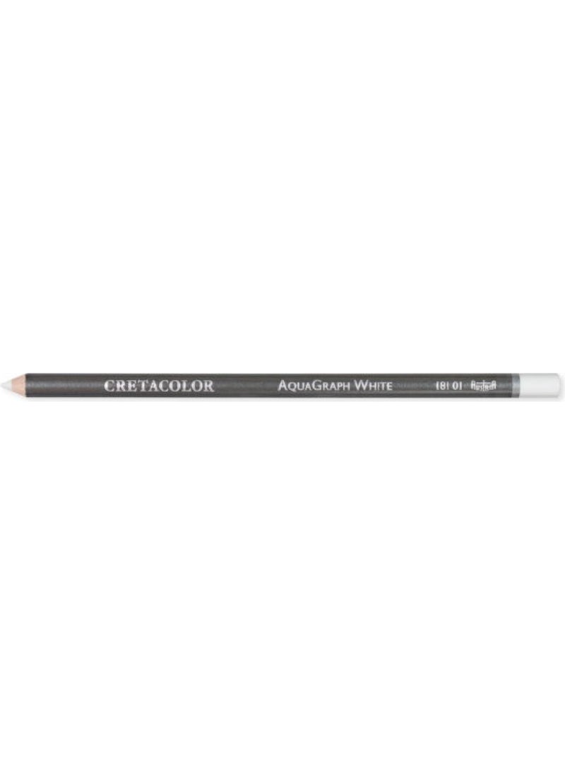 Aqua Graph White Graphite Aquarell Pencils Hb Waterable Drawing Pencil 181 01 - pzsku/ZB0AE129952CA1217E4F0Z/45/_/1725794149/aed2fb93-038f-4239-b3de-1211a0b3b4c6