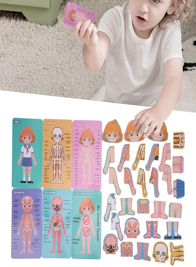 MUMMAMIA Magnetic Wooden Human Body Parts Structure Puzzle (Human Body (Girl)) - Image 2