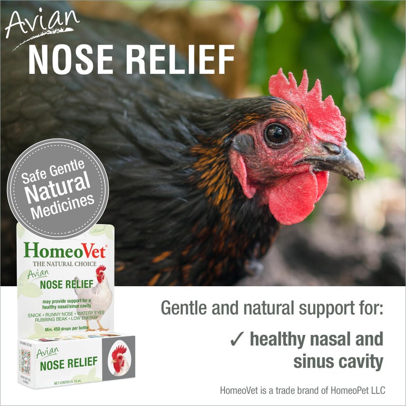 HomeoPet Avian Nose Relief, Safe and Natural Bird and Chicken Supplement, 15 Milliliters - Image 2