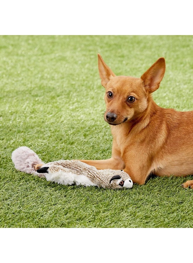 SPOT Skinneeez Stuffless Dog Toy with Squeaker | Plush Tug of War Raccoon Squeak Toy for Small and Large Dog Breeds | Small - Image 2