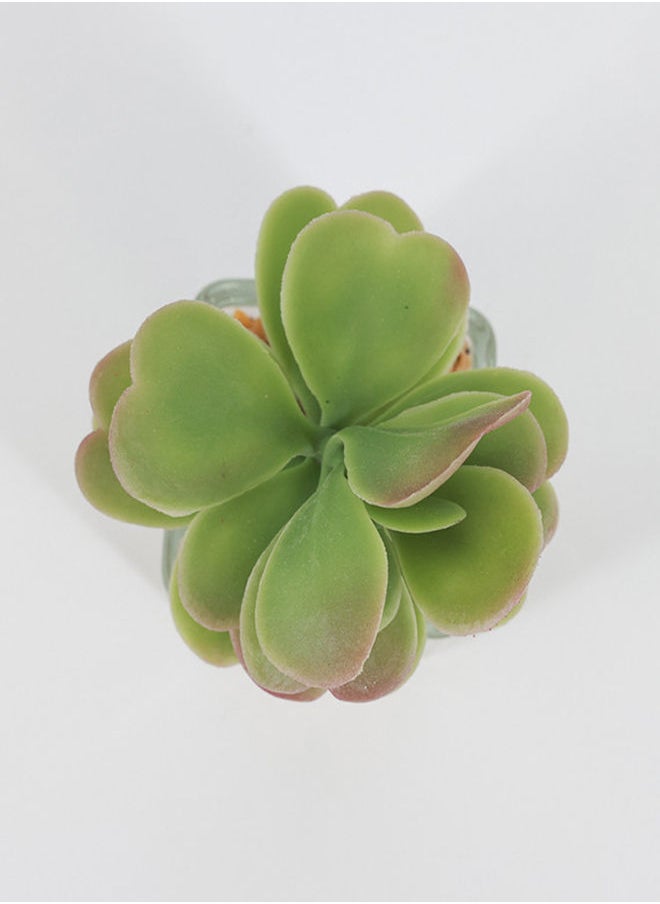 Rahalife Artificial Succulent Bonsai  - Image 2