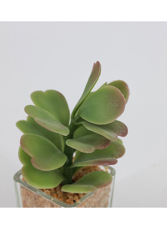 Rahalife Artificial Succulent Bonsai  - Image 3