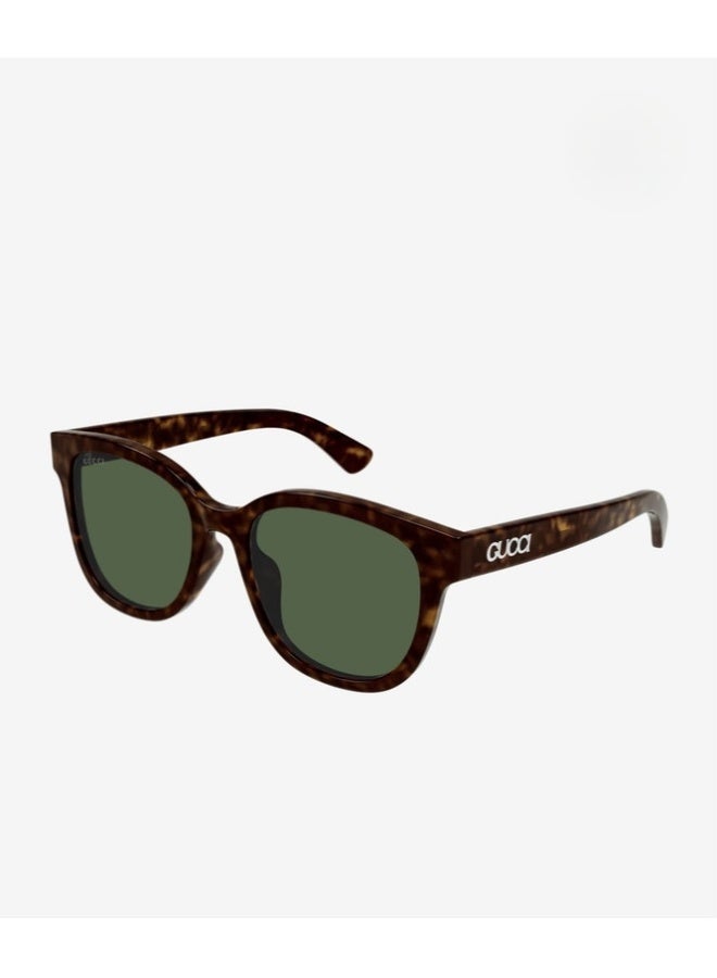 GUCCI نظارات شمسية كبيرة الحجم على شكل سلحفاة للجنسين، GG1797S 002 مقاس 55 - Image 1