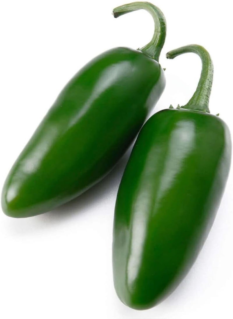 GGOOT Jalapeno Pepper - Capsicum Chinense Vegetable Seeds, Home Garden Seeds by Heavy Torch, 1 Growing Kit: Only Seeds - Image 4