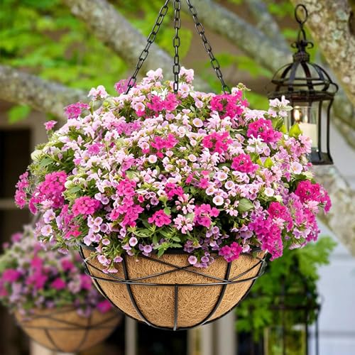 Karlliu 2 Pack 16 Inch Round Replacement Coco Liners for Hanging Basket Natural Coconut Fiber Liner for Flower Planter Coco Coir Pots for Outdoor Garden Plants - Image 2