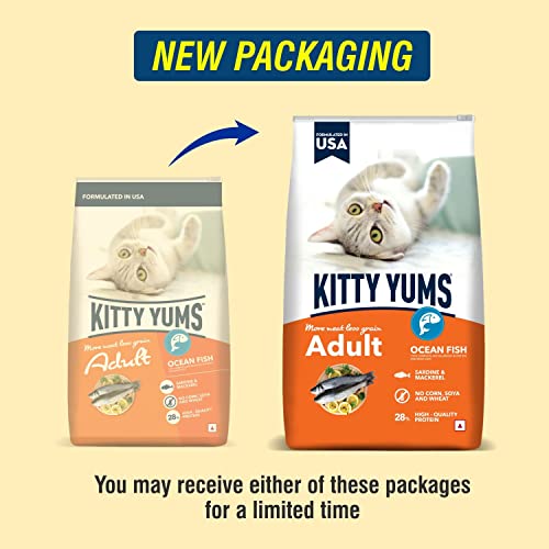 Kitty YUMS Adult (+1 Year) Dry Cat Food 1.2kg Pack | Ocean Fish Flavour | Develop Strong Bones | Healthy Skin & Coat | Supports Digestive System | Maintains a Healthy Heart - Image 2