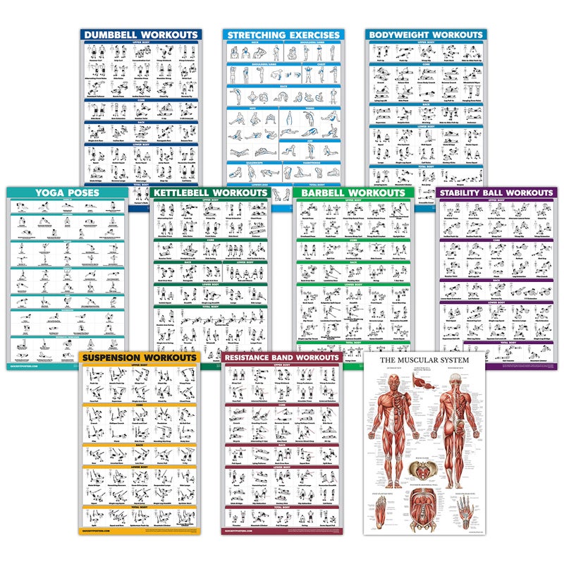 Palace Learning 10 Pack  Exercise Workout Poster Set  Dumbbell Suspension Kettlebell Resistance Bands Stretching Bodyweight Barbell Yoga Poses Exercise Ball Muscular System Chart LAMINATED18 x 24