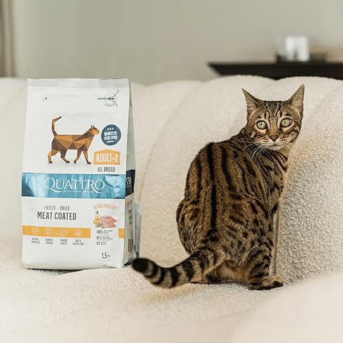Quattro Super Premium Dry Cat Food for Adult Cats (1+ Year) - Extra Poultry, 1.5 kg - Image 4