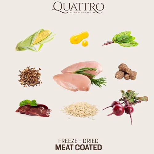 Quattro Super Premium Dry Cat Food for Adult Cats (1+ Year) - Extra Poultry, 1.5 kg - Image 3