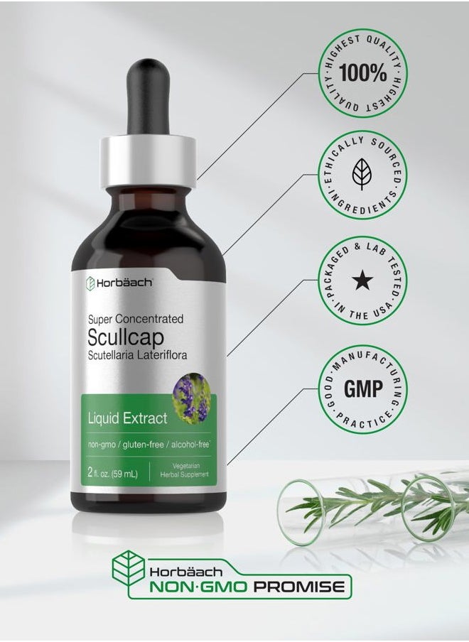 Horbäach - Scullcap Herb Liquid Extract | 2 fl oz Tincture | Super Concentrated | Alcohol Free, Vegetarian, Non-GMO, Gluten Free Skullcap Supplement - Image 1